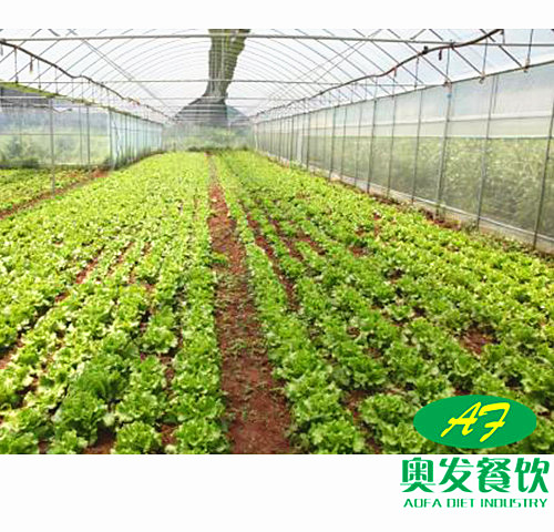 武漢學(xué)校食堂承包工作應(yīng)該如何做到更好？