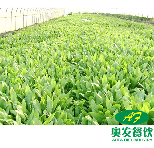 武漢蔬菜配送時(shí)要注意什么？